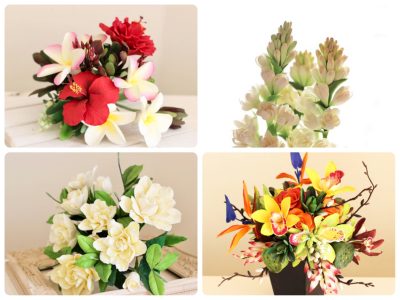 LESSON_CURRICULUM_Tropical